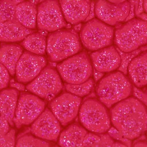 Thumbnail - Pebeo, Künstlerfarbe + Bastelfarbe, Fantasy Prisme (Englisches Rot, 45 ml)