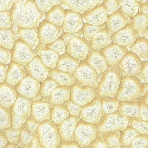 Image du produit Pebeo Fantasy Prisme (Blanc de coquille d'œuf, 45 ml)
