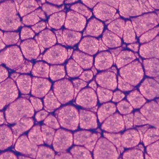 Actual product image Pebeo Fantasy Prisme (Permutated purple violet, 45 ml)