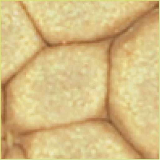 Produktbild Pebeo Fantasy Prisme (Altgold, 45 ml)