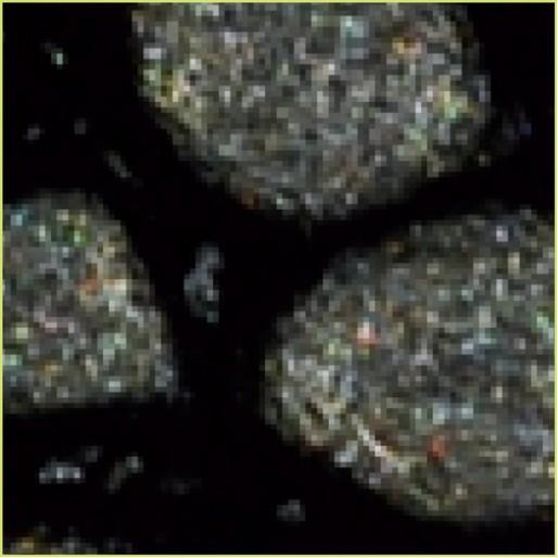 Thumbnail - Pebeo, Künstlerfarbe + Bastelfarbe, Fantasy Prisme (Onyx, 45 ml)