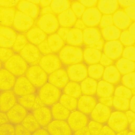 Actual product image Pebeo Fantasy Prisme (Neon yellow, 45 ml)