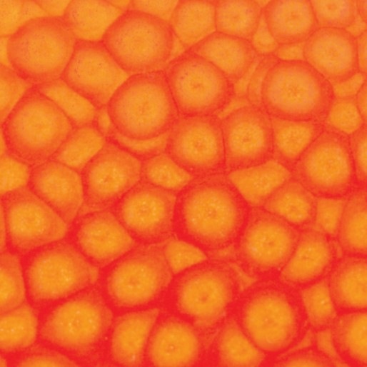 Image du produit Pebeo Fantasy Prisme (Orange fluo, 45 ml)