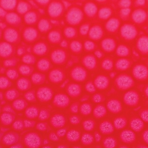 Actual product image Pebeo Fantasy Prisme (Neon pink, 45 ml)