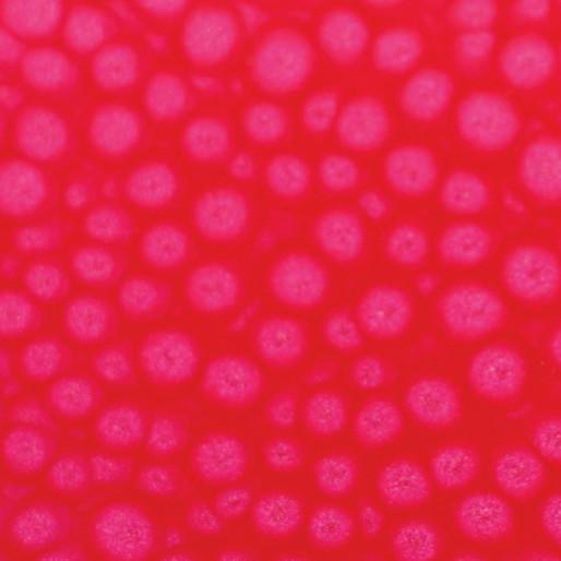 Thumbnail - Pebeo, Künstlerfarbe + Bastelfarbe, Fantasy Prisme (Neonrosa, 45 ml)