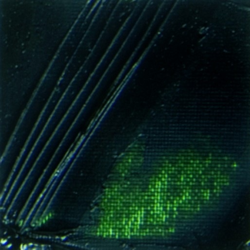 Actual product image Pebeo XL Fine Oil (Brunswick green, 200 ml)