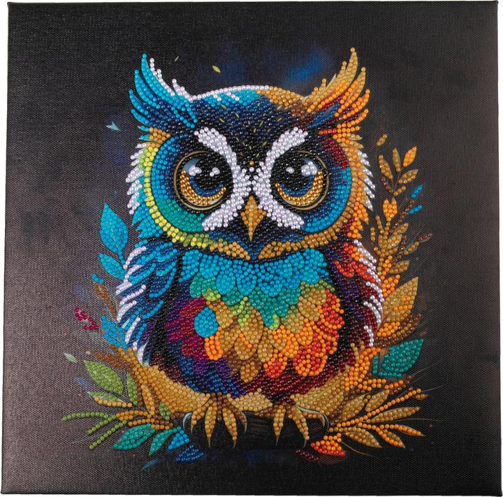 Immagine prodotto Craft Buddy Gufo, Kit artistico in cristallo 30x30cm