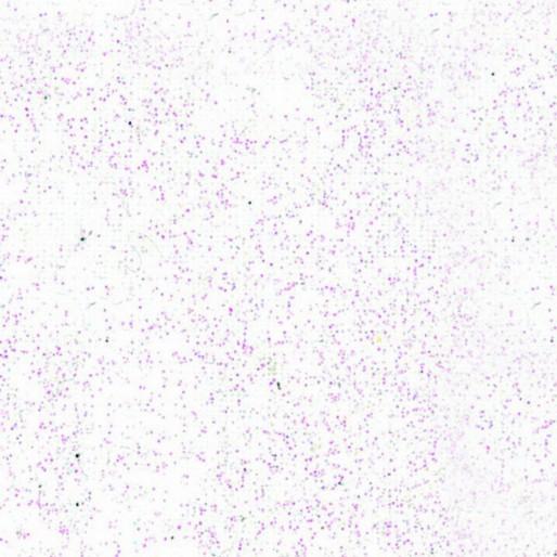 Produktbild Pebeo Setacolor helle Stoffe (Diamant, 45 ml)