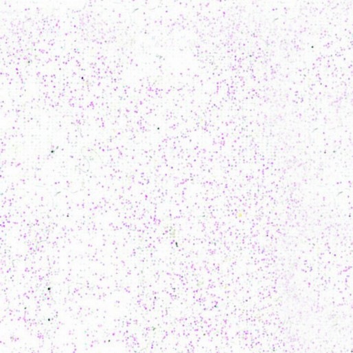 Immagine prodotto Pebeo Setacolor Tessuti Chiari (Diamante, 45 ml)