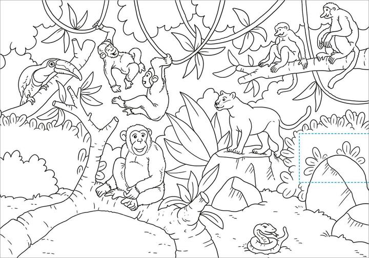 Produktbild Tessloff Schnipp Schnapp Malbuch. Wilde Tiere. Was steckt dahinter?