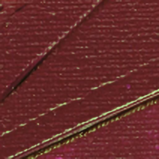 Actual product image Pebeo Studio Acrylics fine acrylic (Alizarin carmine, 100 ml)