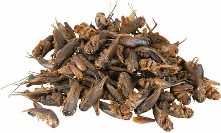 Immagine prodotto Trixie Grigliare (1 x, 0.03 kg)