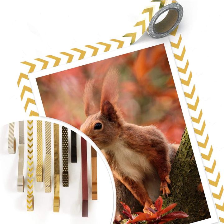 Produktbild Trenddeko Eichhörnchen 01 (30 x 40 cm)