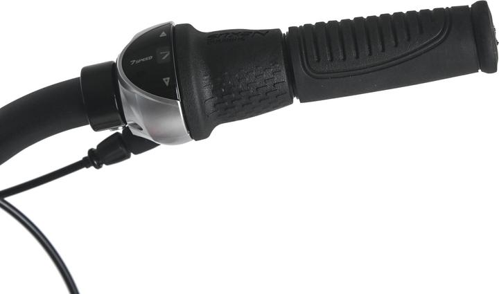 Produktbild Damenrad 28" Padova 7 Gänge RH 48 cm (48 cm)