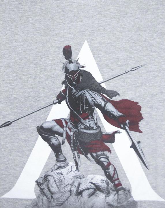 Actual product image Assassins Creed Odyssey Tshirt (L)