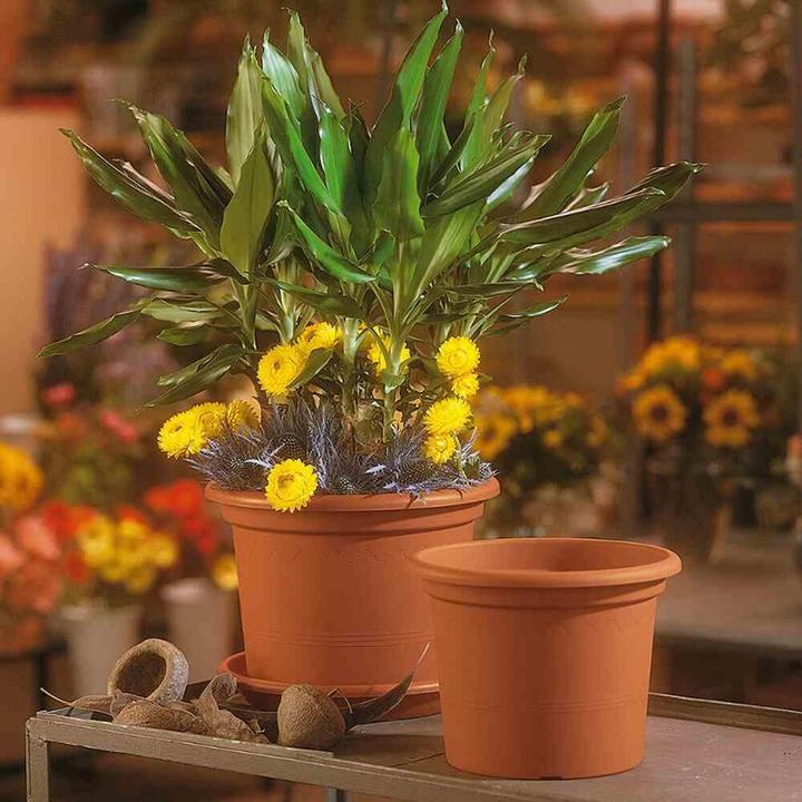 Produktbild Euro3plast Pflanzkübel (30 cm)