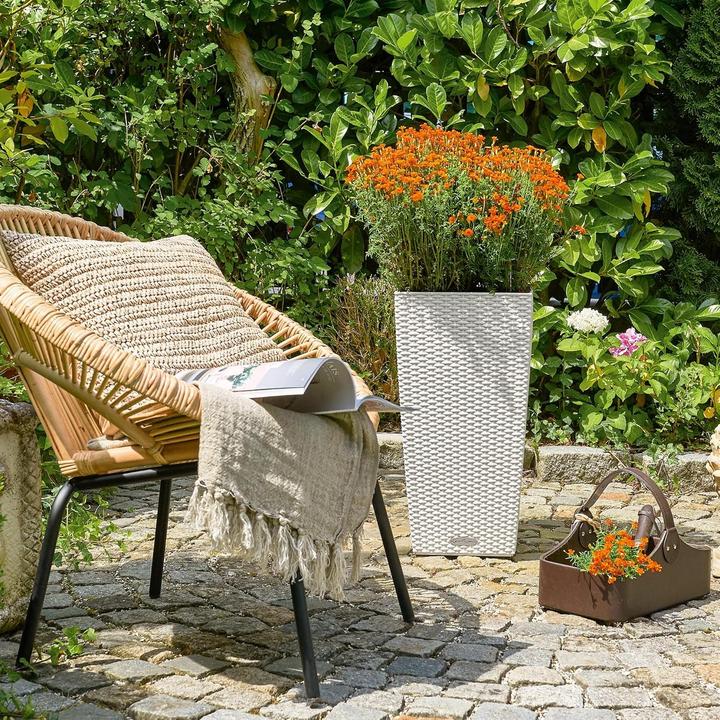 Immagine prodotto Lechuza Cubico Cottage (39.50 cm)