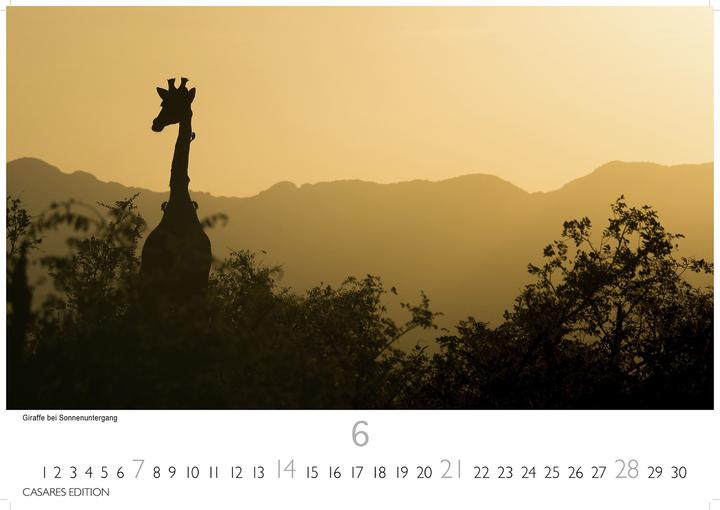 Produktbild Sdafrika 2026 S 24x35 cm (Spezial)