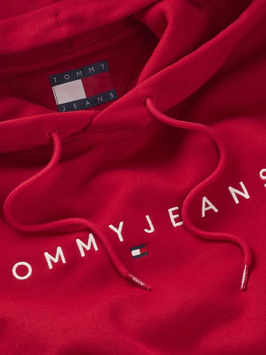 Productafbeelding Tommy Jeans Tjm Reg Linear Logo Hoodie Ext (L)