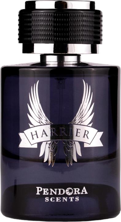 Produktbild Pendora Scents HARRIER MAN EDP 100 ML (Eau de Parfum, 100 ml)