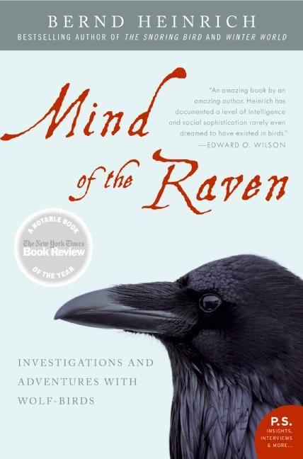 Mind of the Raven (Bernd Heinrich)