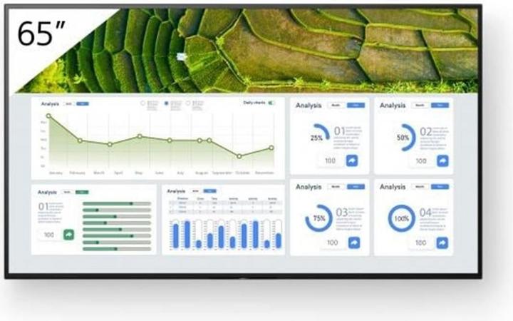 Sony 65" Pro BRAVIA LCD 440nit (3840 x 2160 Pixels, 65")