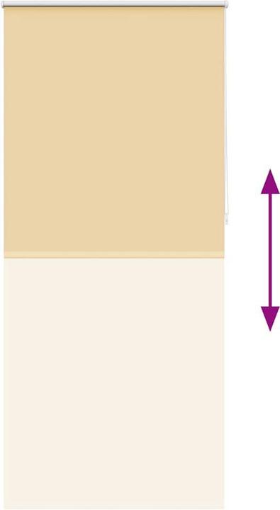 Produktbild vidaXL Verdunklungsrollo (100 x 230 cm)