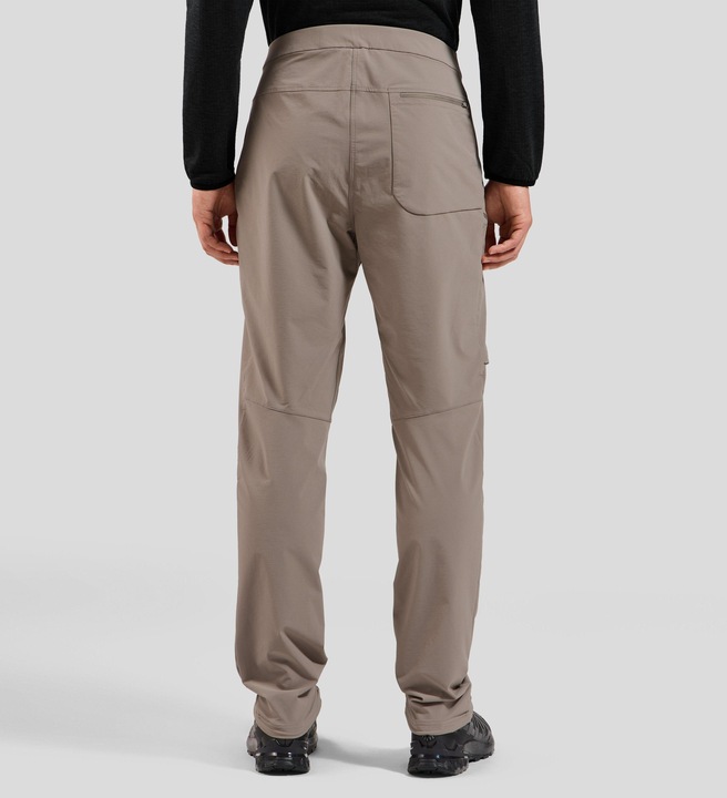 Actual product image Odlo Ascent (L)