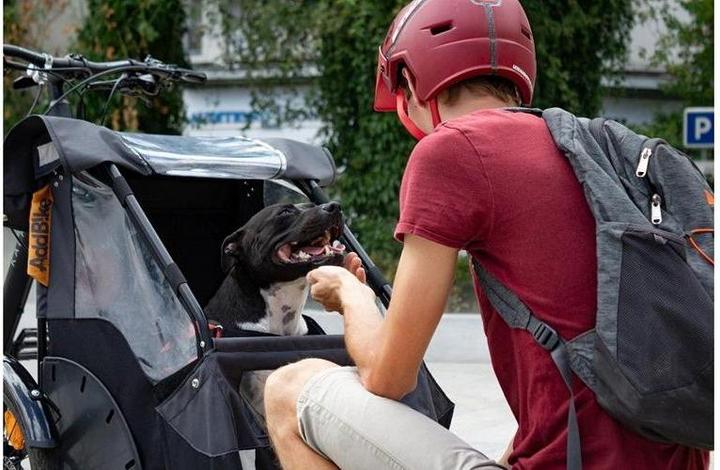 Produktbild AddBike Dog Kit (bundle + CarryDog)