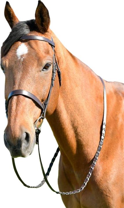 Kincade Classic Leather Horse Flat Hunt Bridle With Reins