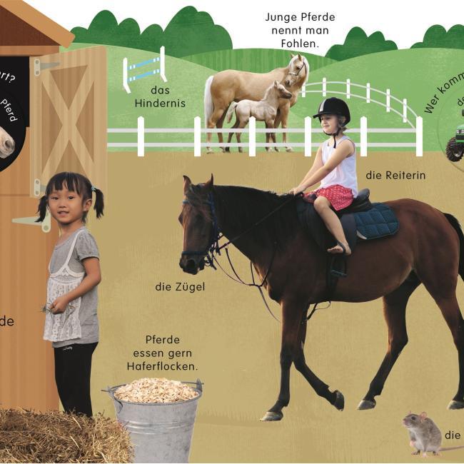 Immagine prodotto Erstes Lernen Drehen. Auf dem Bauernhof (Tedesco, DK Verlag - Bambini, 2021)