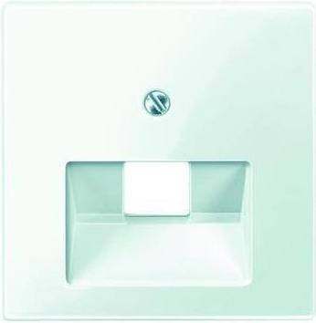 Produktbild Merten Zentralplatte