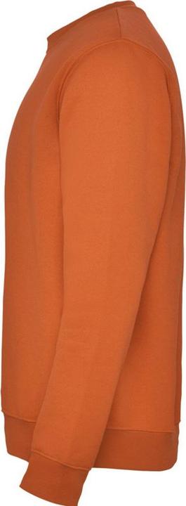 Produktbild Alpinia Clasica Sweatshirt Rundhalsausschnitt (128)