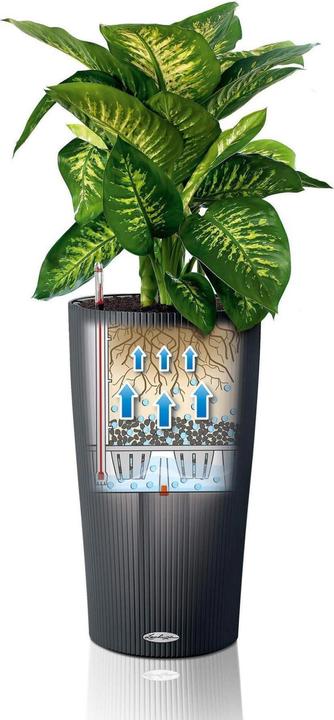 Image du produit Lechuza Cilindro 32 (32 x 56 cm)