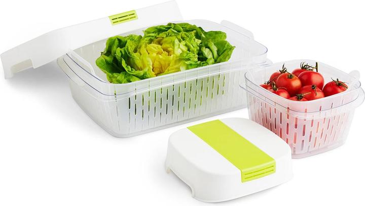 Produktbild Rotho Dynamic Box 1,6 l FRESH (1.60 l)