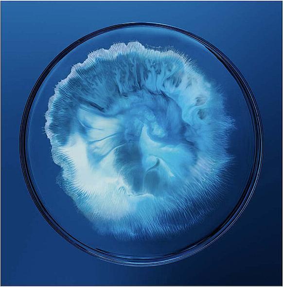 Actual product image Biotherm Force Supreme (100 ml, Face gel)