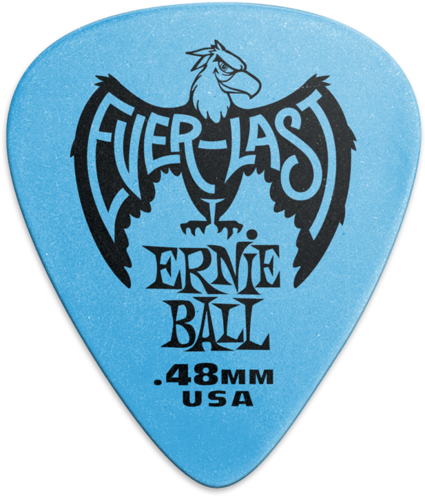 Image du produit Ernie Ball Everlast (12 x, 0.48 mm)