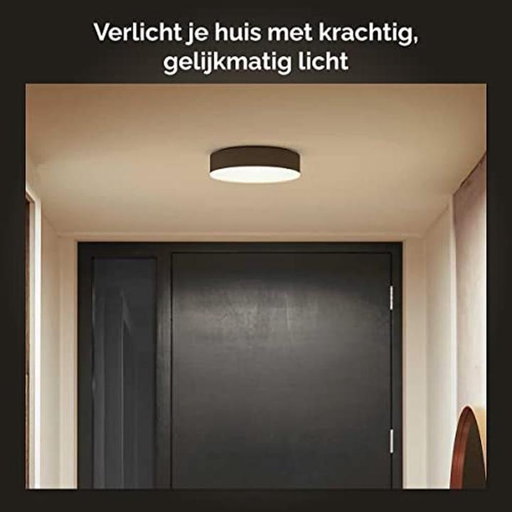Actual product image Philips Hue White Ambiance Enrave (2400 lm)