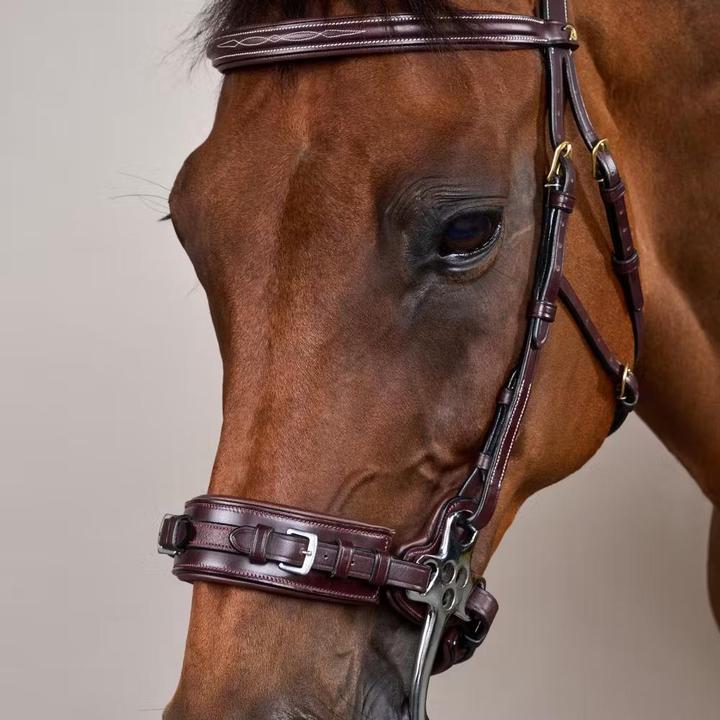Image du produit Dy'on Hackamore pour cheval