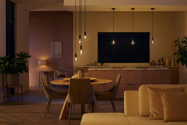 Actual product image Philips Hue Filament (E27, 7 W, 550 lm, 1 x, G)