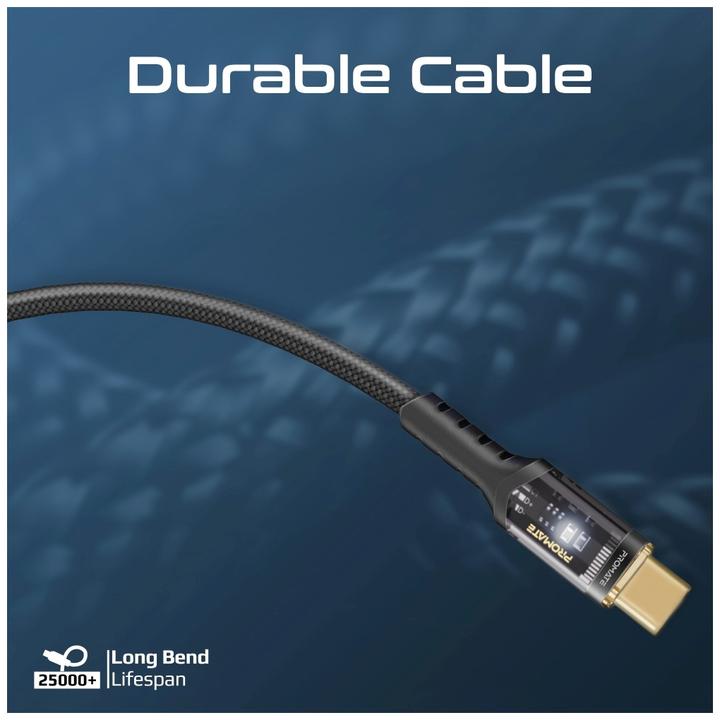 Image du produit ProMate LucidLine-CC200 Noir Câble USB-C (2 m, USB 2.0, 100 W)