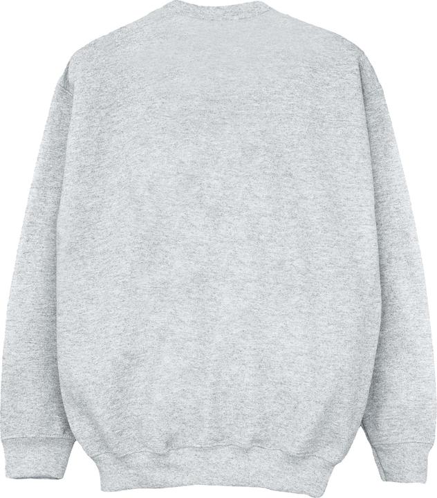 Image du produit - Sweat HAWKEYE LOCKED ON TARGET - Garçon (152, 158)
