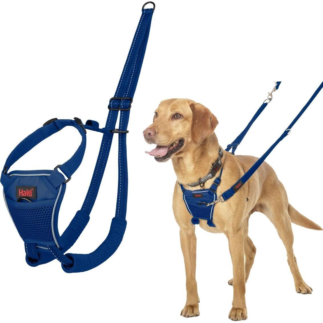 Meilleurs prix pour Harnais pour Chien Company of Animals COBALT Bleu 12