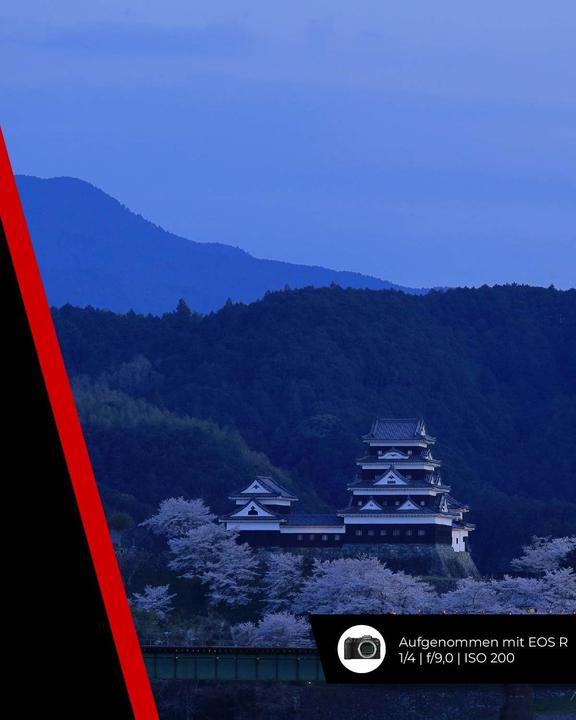 Image du produit Canon RF 24-240mm f/4.0-6.3 IS USM (EU) (Canon RF, Plein format)