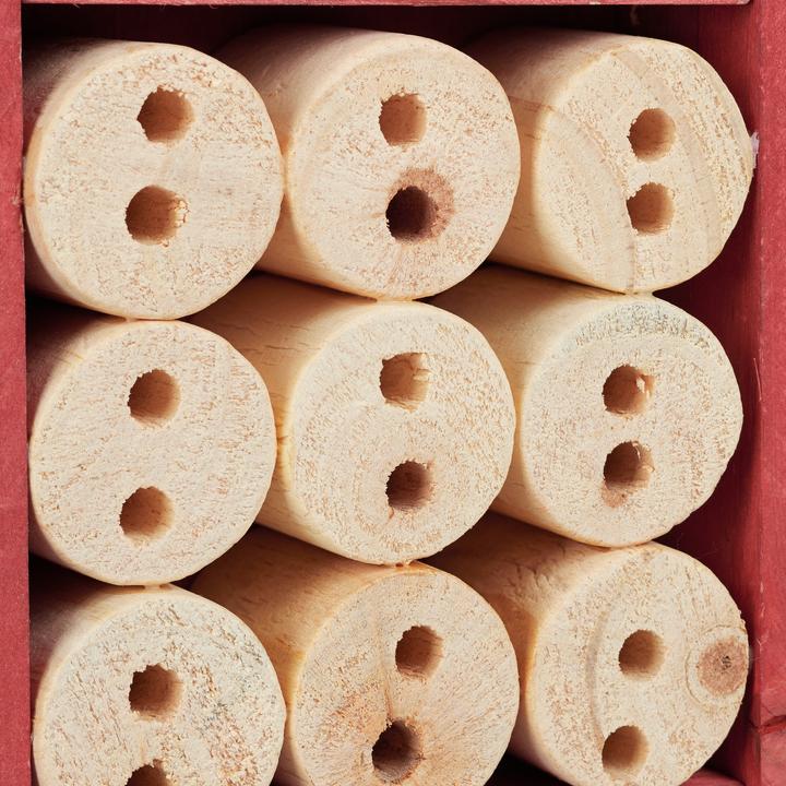 Immagine prodotto Relaxdays Casetta per Api da Assemblare, DIY (Merletti, Api, Coccinelle)