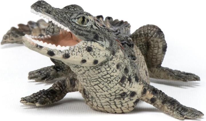 Papo Crocodile cub buy at Galaxus
