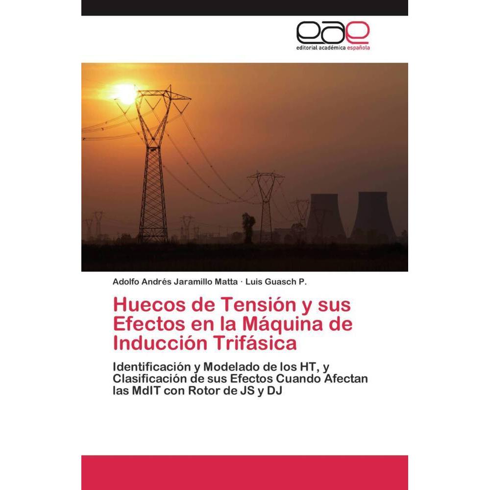 Huecos de Tensión y sus Efectos en la Máquina de Inducción Trifásica, Fachbücher