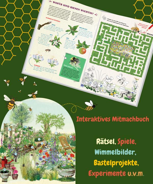 Produktbild Bienen (Deutsch, Dr. Johanna Prinz, Johanna Prinz, 2024)