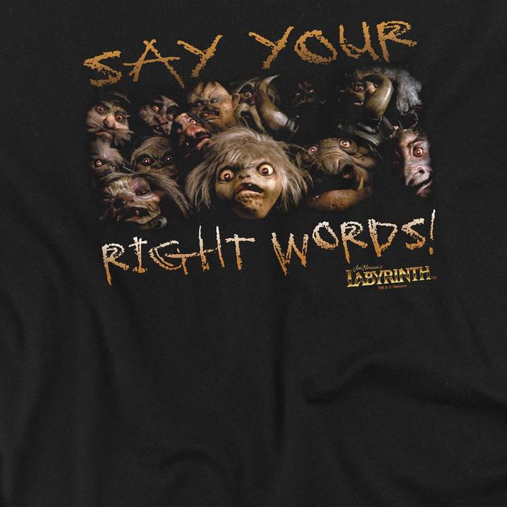 Produktbild Bruce Lee TShirt (L)