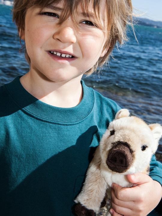 Actual product image WWF Wild boar Newbie (23 cm)